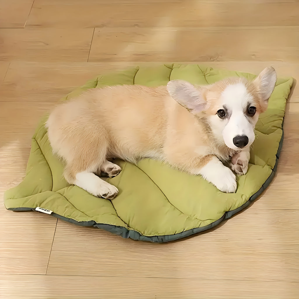 1 Soft Washable Leaf-Shaped Pet Mat for Cats & Dogs, Non-Slip Bite-Resistant Polyester Bed with Removable Cover, Geometric Design Rectangular Sleeping Mat for Comfort and Durability, Sleeping Pad