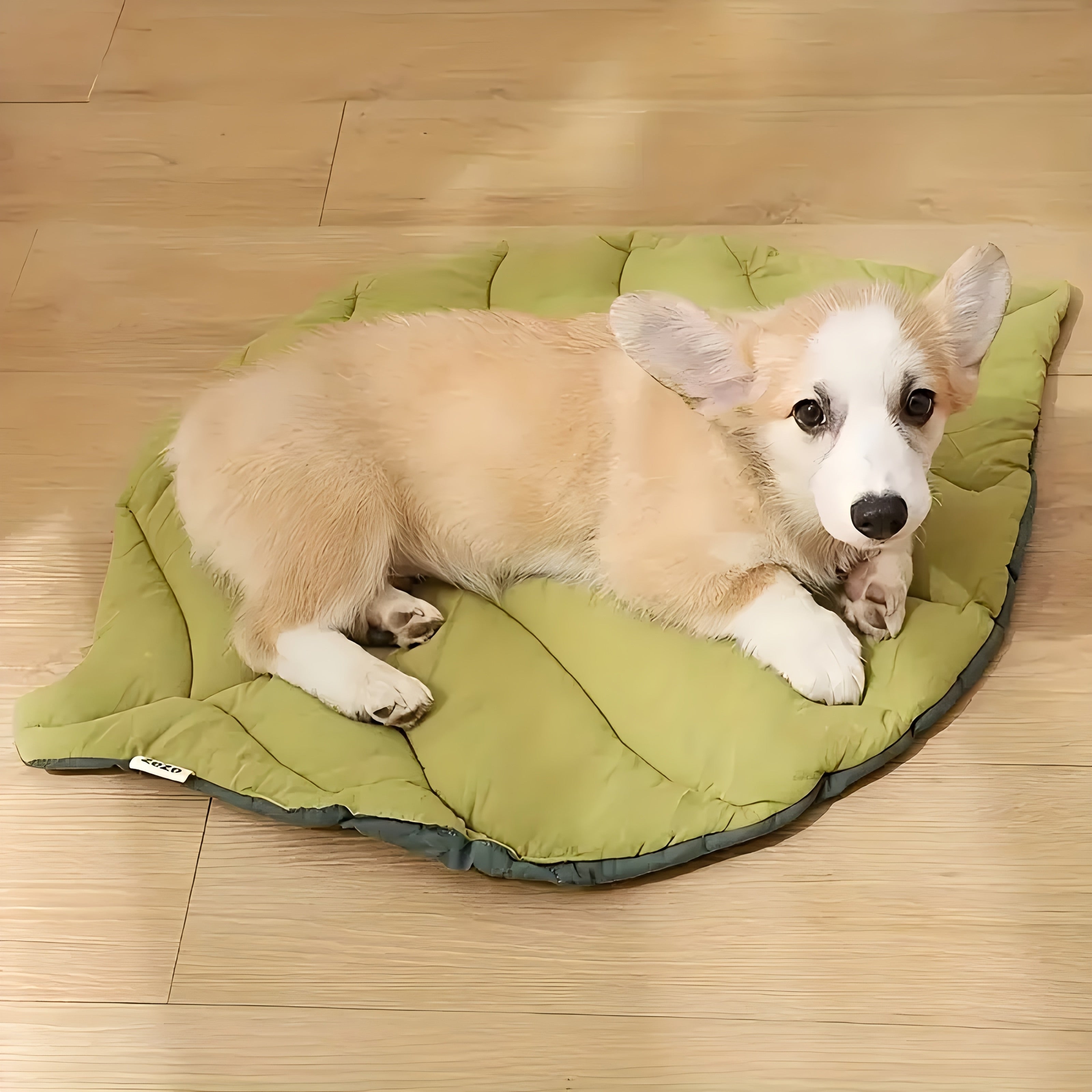 1 Soft Washable Leaf-Shaped Pet Mat for Cats & Dogs, Non-Slip Bite-Resistant Polyester Bed with Removable Cover, Geometric Design Rectangular Sleeping Mat for Comfort and Durability, Sleeping Pad